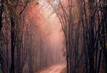 借钱杠杆炒股:股票开户要哪些证件-四部门：推动人工智能技术在耳与听力健康领域应用